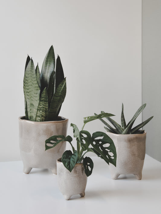 Positano Pot
