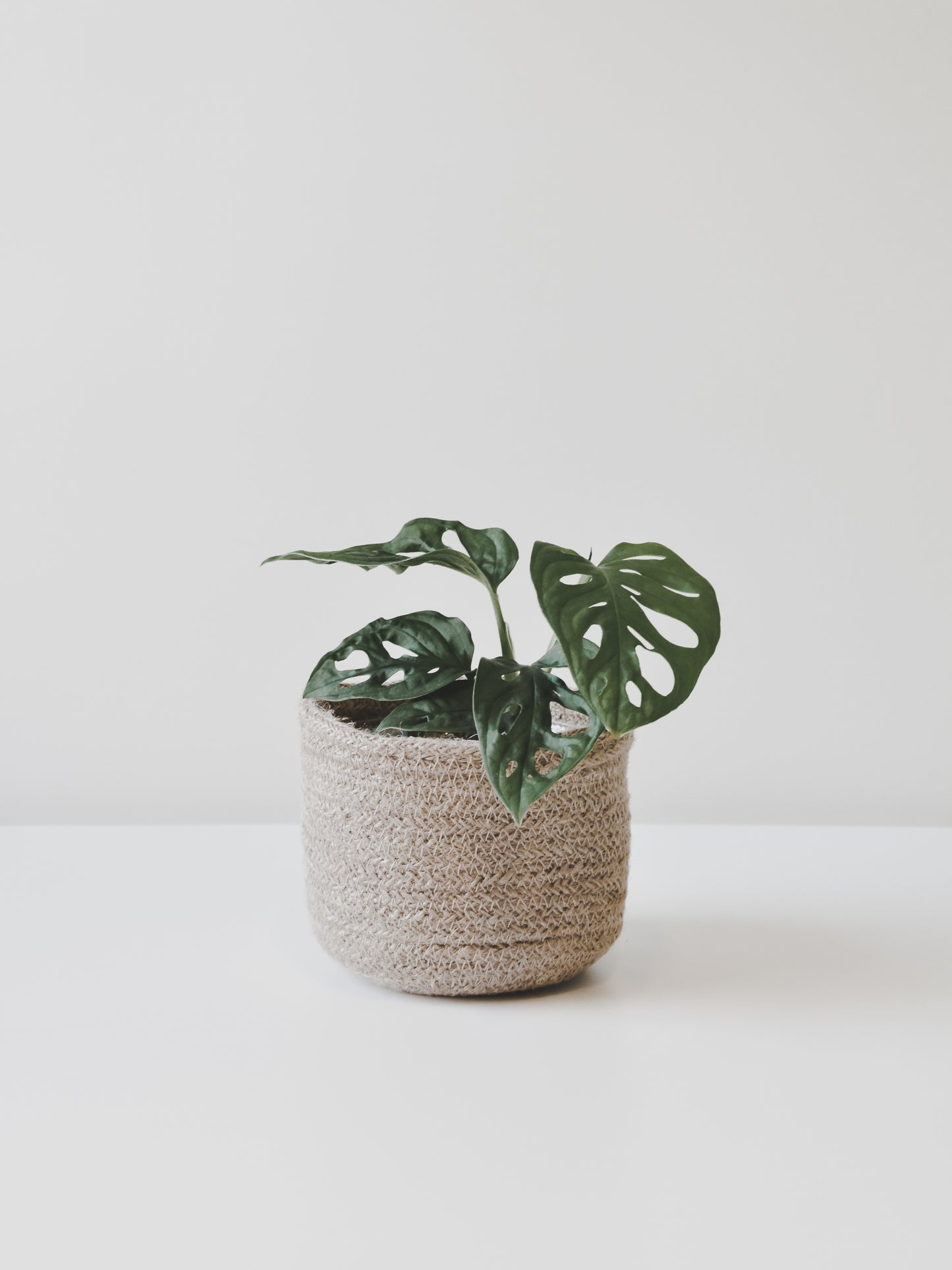 Woven Jute Plant Pot